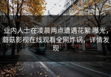 业内人士在凌晨两点遭遇花絮 曝光，蘑菇影视在线观看全网炸锅，详情发现