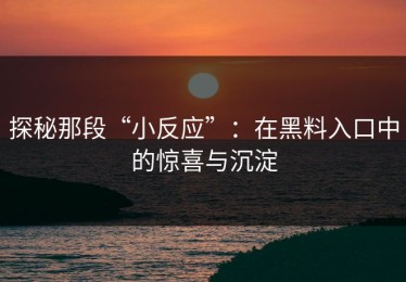 探秘那段“小反应”：在黑料入口中的惊喜与沉淀