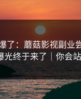 上个月爆了：蘑菇影视副业尝试，真相曝光终于来了｜你会站谁？