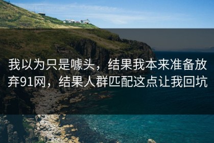 我以为只是噱头，结果我本来准备放弃91网，结果人群匹配这点让我回坑