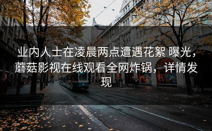 业内人士在凌晨两点遭遇花絮 曝光，蘑菇影视在线观看全网炸锅，详情发现